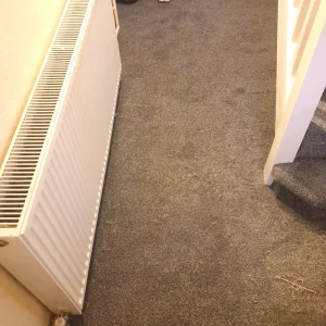 Plush Hallway Floors Carpet