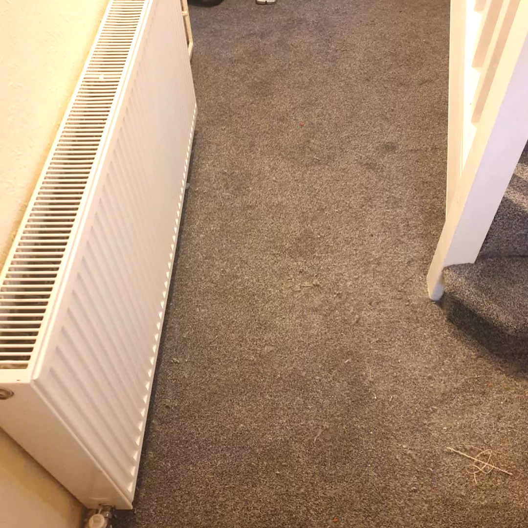 Plush Hallway Floors Carpet