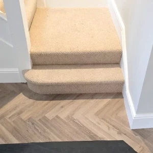 SandyStep Carpets