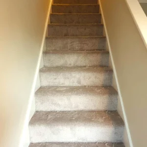 softtread-solutions-carpett